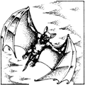 Bat